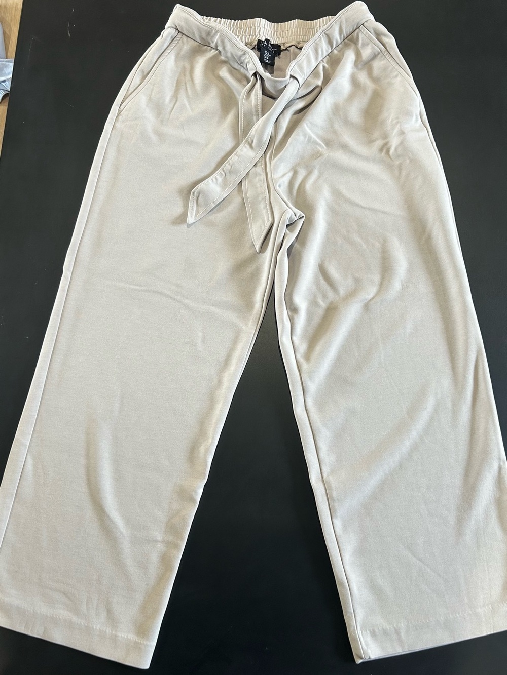 Relaxed Drawstring Wide-Leg Pants in Light Taupe